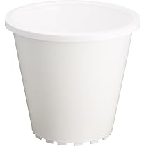 Amazon | 大和プラスチック 鉢・ポット プラ鉢 4号 φ130×H116 ホワイト