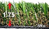SP - 100 $ 3.65 / SF " Greatest」Centipede SWナチュラルウルトラプレミアム合成Grass Turf 1ft x 15ft ナチュラル
