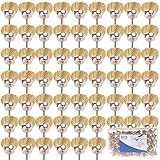 SPTA 25mm 真鍮ワイヤーブラシ 研磨ブラシ 為に 1/8"（3mm）シャンク Dremel (ドレメル）Proxxon ロータリーツール--サンディング、研削、研磨 50個のパック [並行輸入