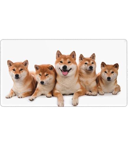Amazon.co.jp: 柴犬のマウスパッド：フォトパッド（世界の犬シリーズ