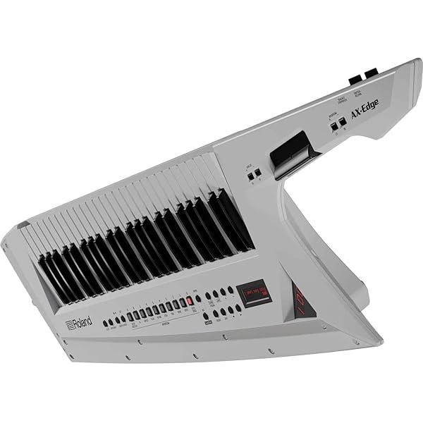 Amazon | Roland ローランド キーボードバッグ CB-BAX/AX-Edge専用