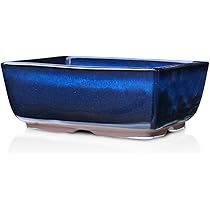 613SwO8pA9L._AC_UL210_SR210,