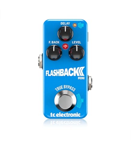 tc electronic FLASHBACK ディレイ・ルーパー TC ELECTRONIC/Flashback Delay ＆ Looper/ディレイ＆ルーパー 送料