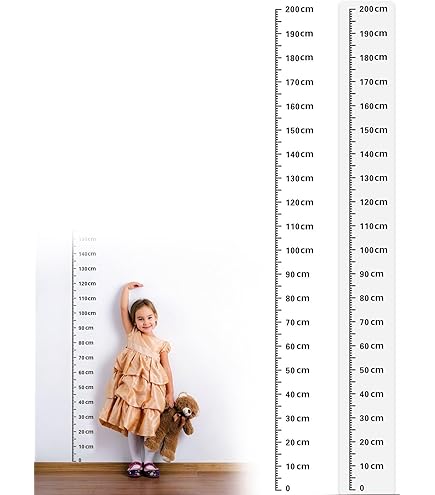 ポータブル身長計 seca213 アズワン Amazon.co.jp: アズワン(AS ONE) seca ポータブル身長計 seca213