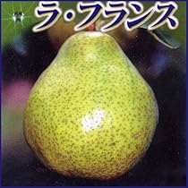 613TkwOe8nL._AC_UL210_SR210,