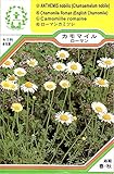 【種子】 カモマイル ローマン 三笠園芸