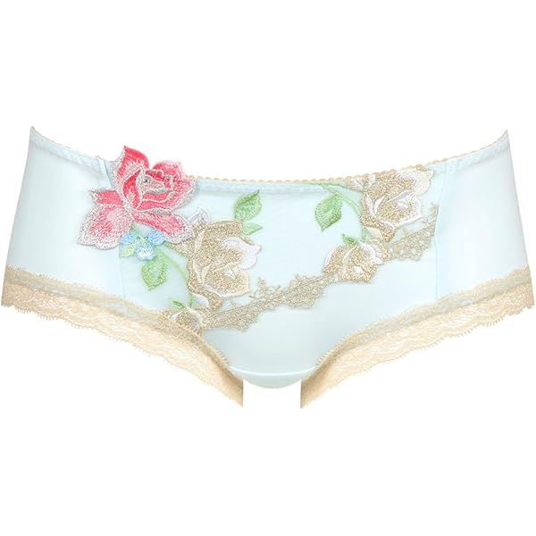 Amazon.co.jp: ワコール Wacoal サルート Salute 23SS先行