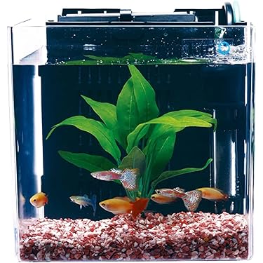Amazon.co.jp 人気ギフトランキング: 魚飼育セット で、ギフトの