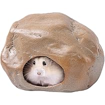 てん ハムスター　巣箱 613VoXlEtQL._AC_UL210_SR210,