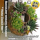 【送料無料】【オリジナル寄せ植え】ワイヤーハンギングリース（サークルorスクウェア）30cmリース S字フック付き【インテリアグリーン】 (サークル)