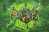 Teenage Mutant Ninja Turtles STANDARD (PILLOWCASE ONLY) Green & Blue [並行輸入品]