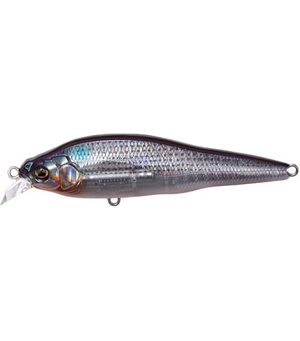 Amazon.co.jp: メガバス(Megabass) ミノー X-80Jr.SW GG アカキン