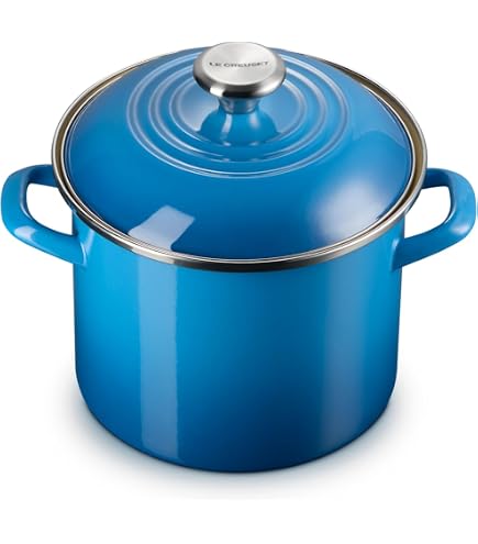 Zwilling J.A. Henckles Joy Stock Pot, 24cm : Amazon.sg: Home