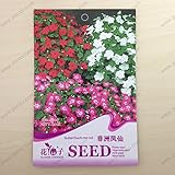 花の種子は、ツリフネソウはない（Balsamine）種子、成熟した開花70日、20粒子の種子/バッグ私に触れるSULTAN