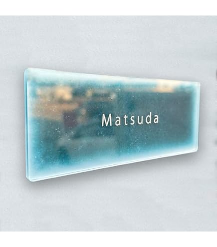 Amazon.co.jp: 光 ステンレス表札 高橋 6×20cm カットシート貼テープ付