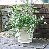 スペイン鉢 オリビア (31cm)　白い植木鉢　おしゃれ　テラコッタ　陶器鉢