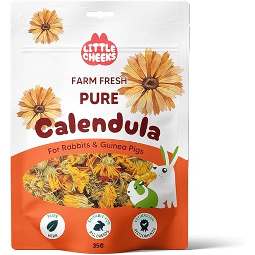 Pure Calendula 35G for Rabbits& Guinea Pigs, Skin Health