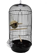 瞬間的お値下げ‼️ヴィンテージ シャビーな鳥籠 鳥カゴ 613eVsd5WBL._AC_UL210_SR210,