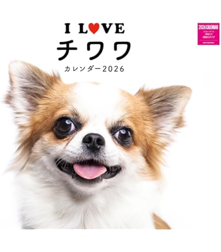 Amazon | ［公式］PICTWANカレンダー2026 【S判】チワワ | カレンダー
