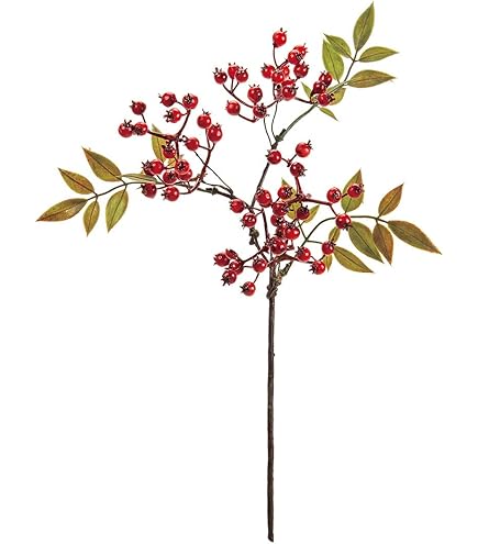 Amazon｜東京堂(Tokyodo) サンキライバイン レッド 実Ф0.6～0.8×L120cm