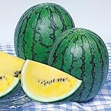 【メール便配送】　国華園　野菜たね　スイカ　F1黄肉こだま西瓜　1袋(2ml)【※発送が国華園からの場合のみ正規品です】