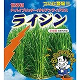 [世界初！F1ハイブリッド飼料用ライグラス タネ 秋まき]牧草種子：イタリアン ライジン1kg ノーブランド品