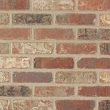Colonial Collection Castle Gate Thin Brick - Case of 50 - 7.3 SF [並行輸入品]