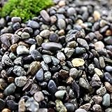 水槽の砂利 大磯 2分 (5～7mm) 30kg