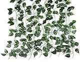 [スプレンノ] Splenno 壁掛け 観葉植物 フェイク グリーン 12本 セット 結束バンド 付き (绿萝)
