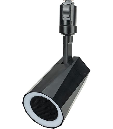 Amazon.co.jp: Bose FreeSpace flush-mount loudspeaker 天井埋め込み