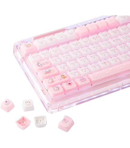 Amazon.co.jp: アークナイツ：エンドフィールド ザイヒ キーキャップ