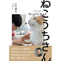 Amazon.co.jp: クイック・ジャパン151 : かまいたち, だいにぐるーぷ: 本
