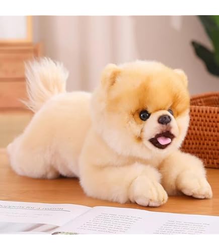Amazon.co.jp: ポメラニアンもち しらたま ぷりぬい : おもちゃ