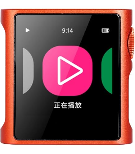 Amazon.co.jp: 《ロゴ入りクロスプレゼント》 FIIO デジタルオーディオ
