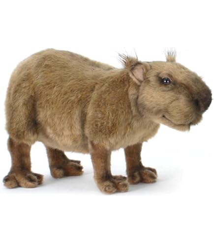 Amazon.co.jp: HANSA ハンサ ぬいぐるみ 5125 カピバラ42 CAPYBARA