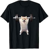 禁断のポメラニアンさ専用 ポメラニアン（超極小サイズ） - 子犬や子猫たちのペット販売