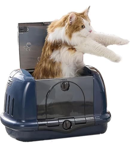 IINA イイナ　キャットルーム　【新品未開封】 Amazon | イイナ (IINA) キャットルーム ピンク | イイナ (IINA