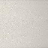 Brewster 408-82870 Paint Plus III Lucca Paintable Stucco PaintableIndustrial Strength Wallpaper [並行輸