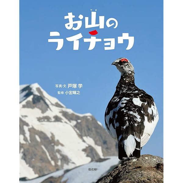らいちょうころころ—立山室堂のライチョウ親子 | 戸塚 学 |本 | 通販
