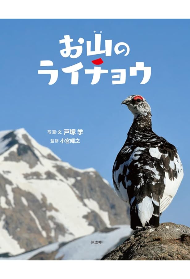 ライチョウ、翔んだ。 | 近藤 幸夫 |本 | 通販 | Amazon