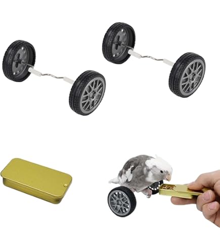 【5袋+おまけ】ラウディブッシュ デイリーメンテナンス（ミニ） Amazon | ラウディブッシュ デイリーメンテナンス(ミニ) 227g