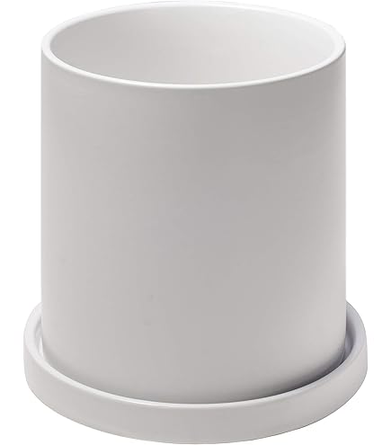 Amazon.co.jp: 大貫弘由岐 作家鉢 植木鉢 陶器鉢 コーデックス 塊根