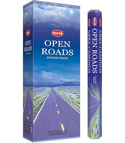 Amazon.co.jp: HEM Money Drawing お香スティック100本 (5 x 20本