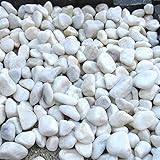 天然石　玉石砂利 3-4cm サンプル アイボリー（ガーデニングに最適 白色砂利）