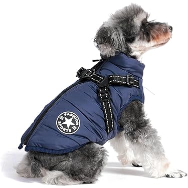 Amazon.co.jp 売れ筋ランキング: 犬用コート・ジャケット の中で最も
