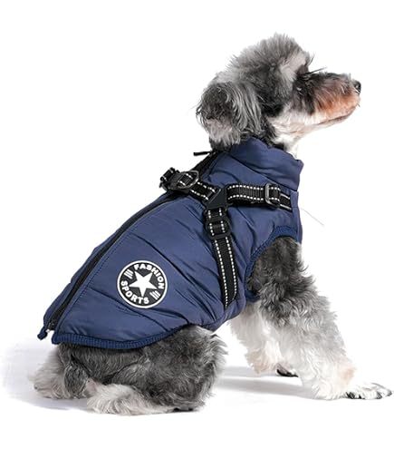 citydog バッティングベスト　ダウン　犬服 Amazon | [citydog/シティドッグ] バッティングベスト ｜ 犬 ウェア 服
