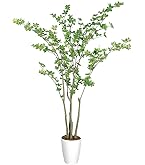 Amazon｜フェイクグリーン 人工観葉植物 観葉樹 造花 高さ168cm 光触媒