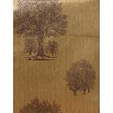 York Wallcoverings ET2065SMP Enchantment Arboretum Wallpaper Memo Sample, 8-Inch x 10-Inch, Gold Lea