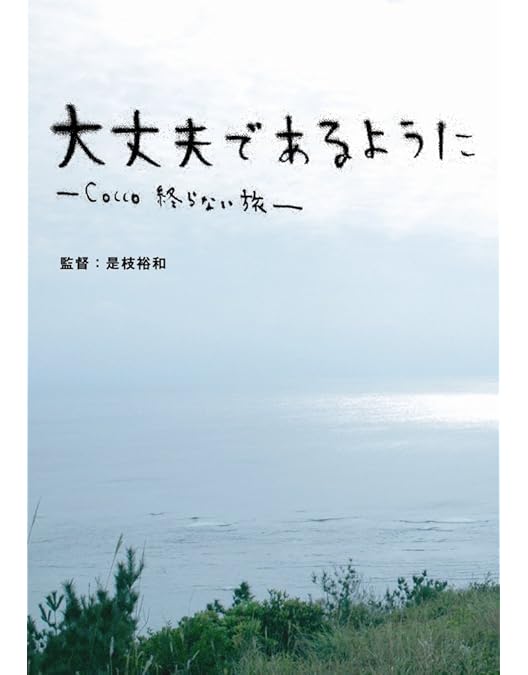Amazon.co.jp: Cocco「きらきら Live Tour 2007/2008 ~Final at 日本