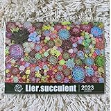 リエール 2023年 カレンダー Lier.succulent